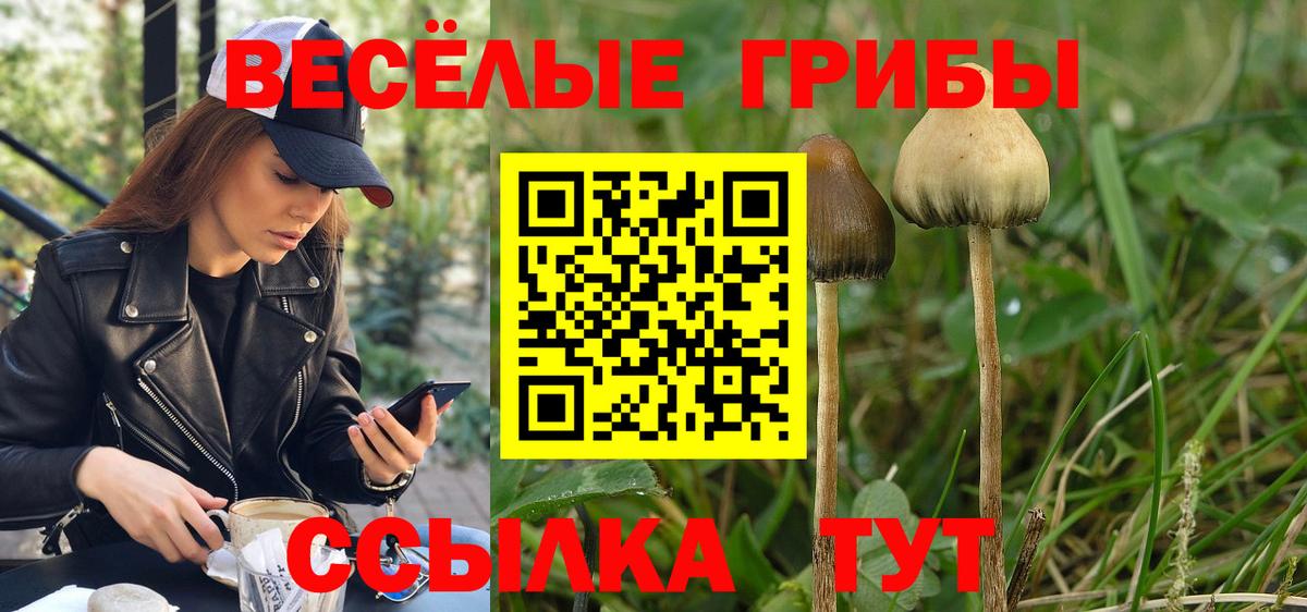 Галлюциногенные грибы прущие грибы  Вход с VPN  Псилоцибиновые грибы Psilocybine cubensis  Тихвин 