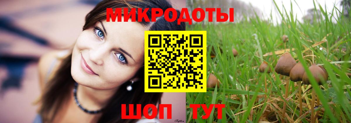 Галлюциногенные грибы ЛСД Тихвин